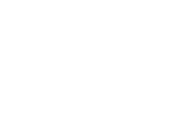 Elevated Carpentry